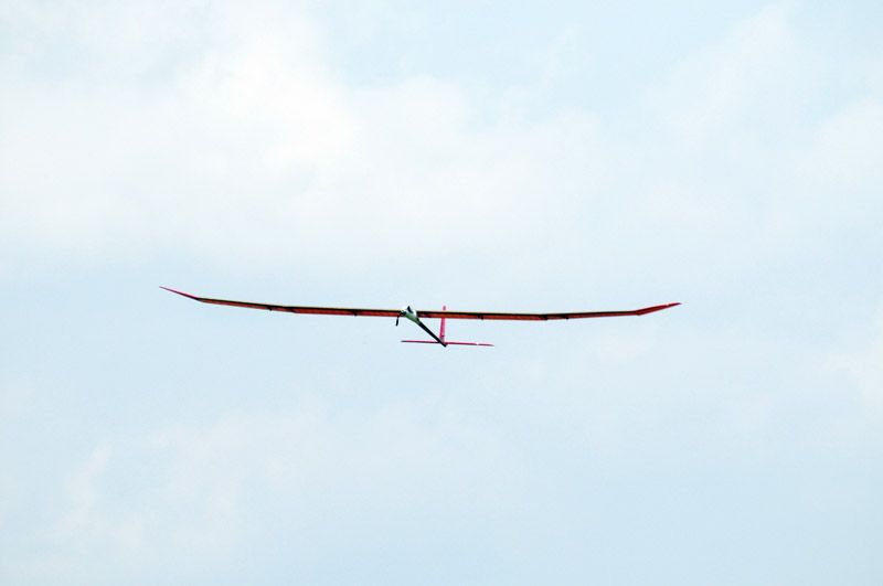 Murray_Glider -crow-1